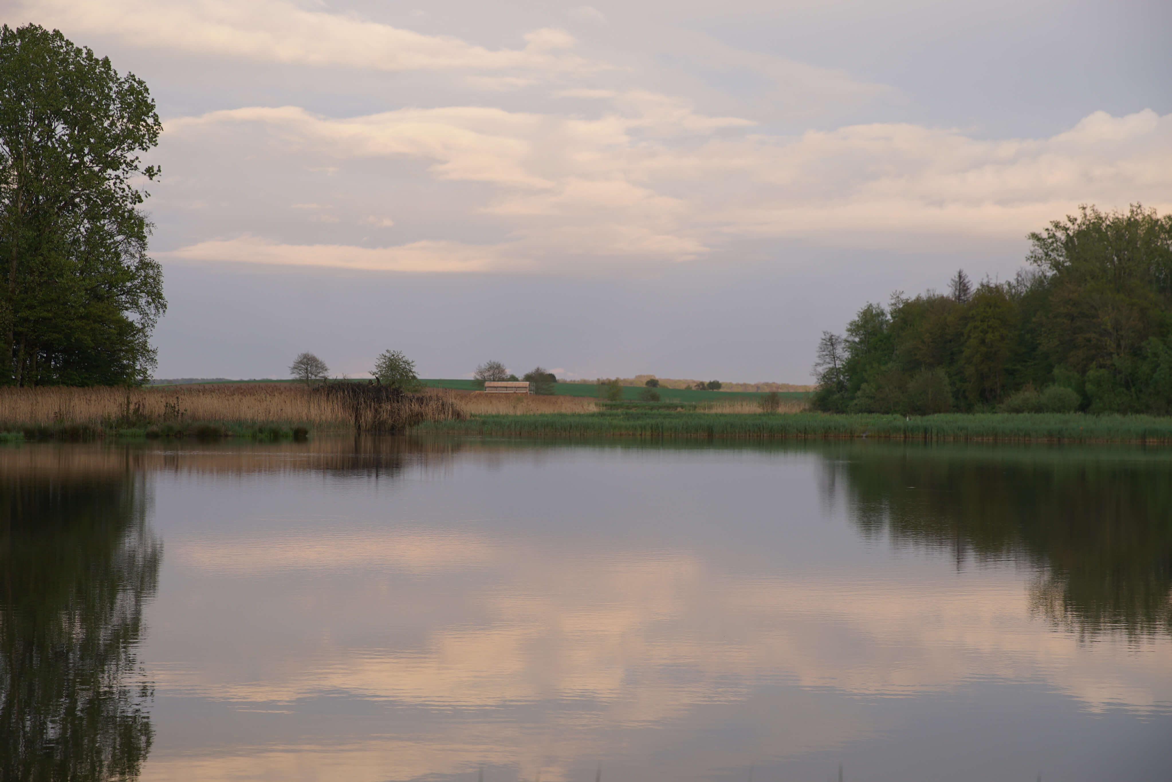 Observatoire des étangs de Nérac - Architecture Bois