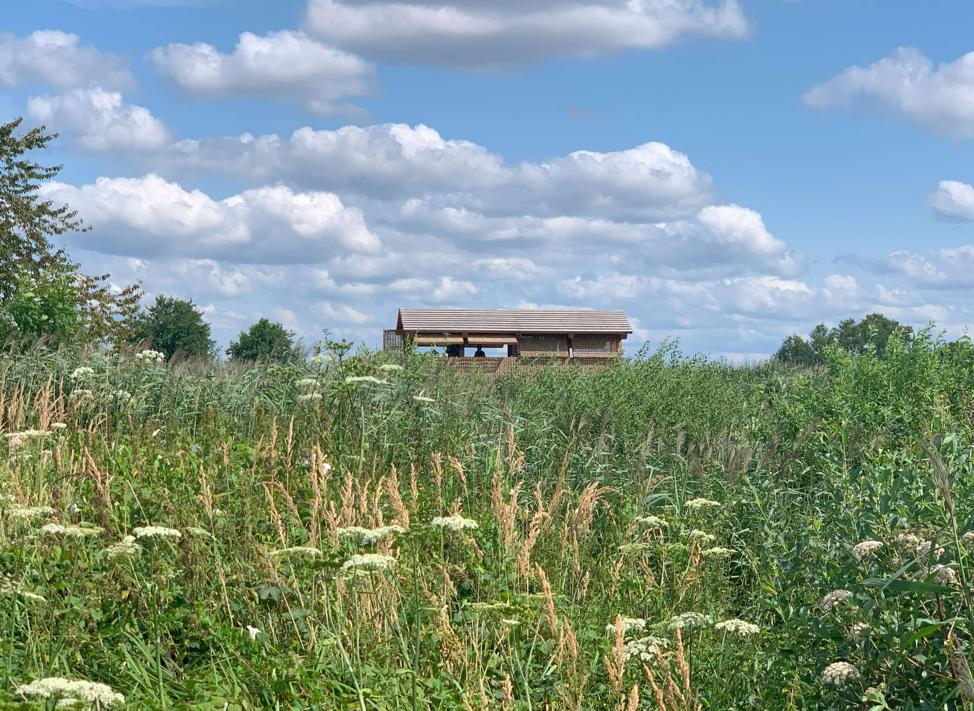 Observatoire des étangs de Nérac - Architecture Bois
