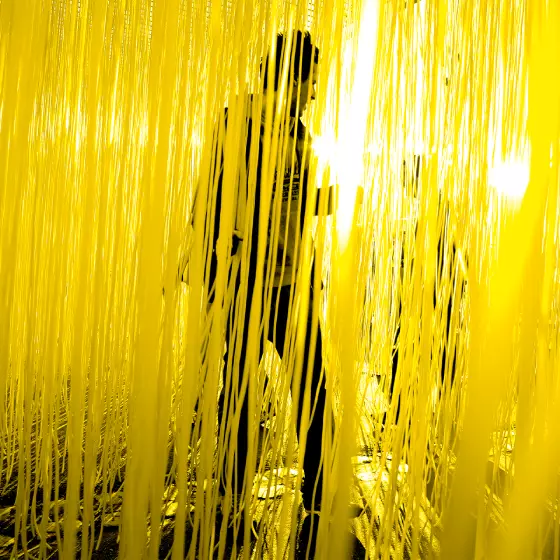 Soto : une traversée cinétique